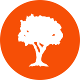 本物の天然木を使用